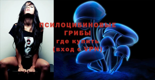 а пвп мука Балахна