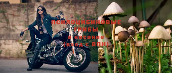 молекула духа Баксан