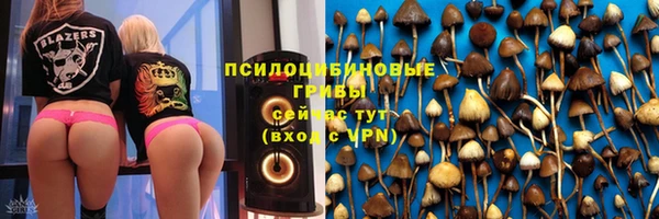молекула духа Баксан