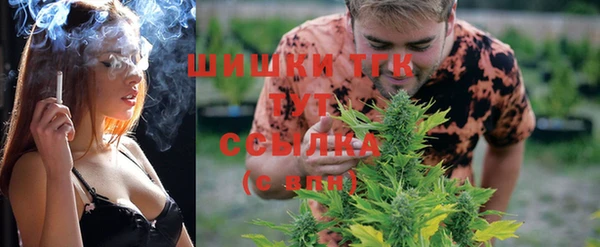 ПСИЛОЦИБИНОВЫЕ ГРИБЫ Балабаново