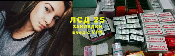 ПСИЛОЦИБИНОВЫЕ ГРИБЫ Балабаново